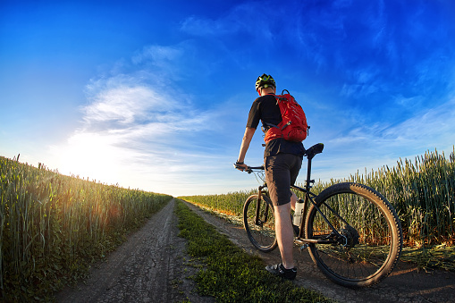 Cyclist with a red backpack pausing on a dirt trail through a green field at sunset